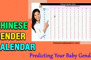 Chinese Gender Calendar 2023 – Predicting Your Baby Gender